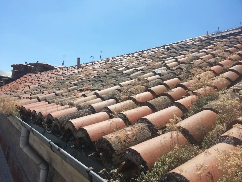 Foto del proyecto EDIFICIO CATALOGADO - AV. PORTUGAL